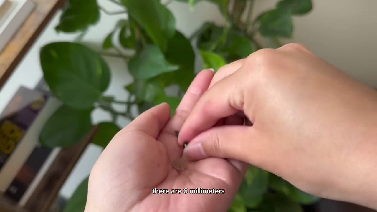 Toàn bộ nguyên liệu cần thiết để bắt đầu dự án móc bạch tuộc, từ len, kim móc đến mắt và bông nhồi.